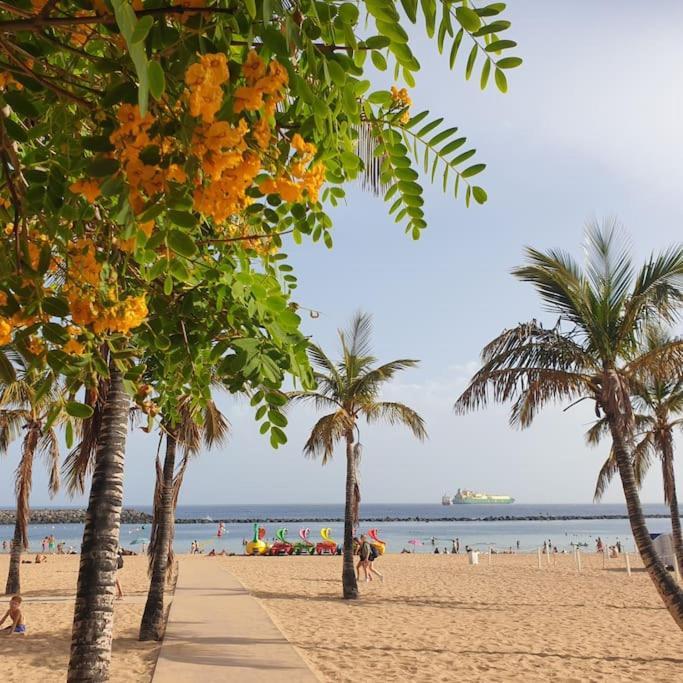 San Andres Beach View Apartment Exterior foto